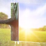 should-i-open-my-windows-to-help-my-carpets-dry-faster