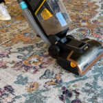 why-your-carpet-gets-dirty-faster-after-cleaning