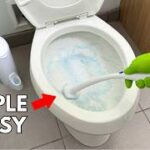 5-easy-bathroom-cleaning-tips-college-edition