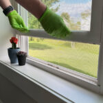 should-i-open-my-windows-to-help-my-carpets-dry-faster
