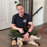 how-to-clean-yellow-pet-pee-spots-out-of-carpet